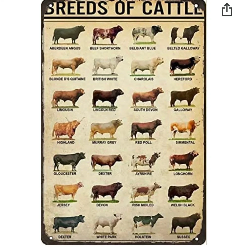 Breeds of Cattle Metal Tin Sign